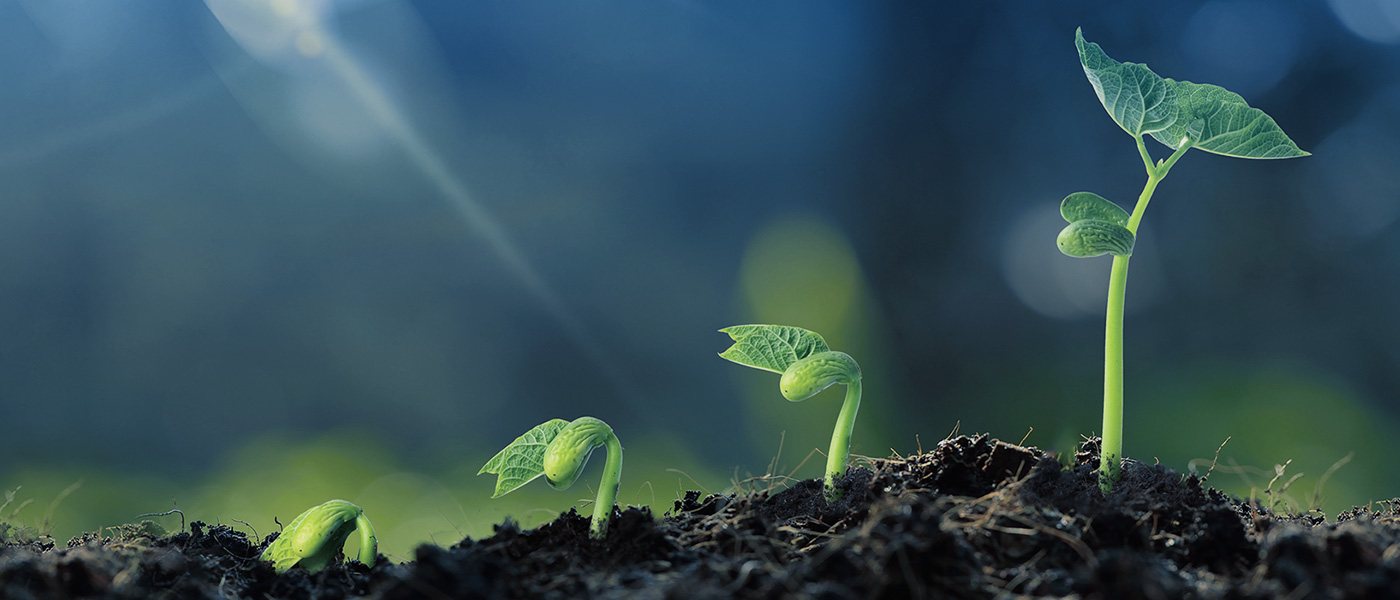 MK����(MKsports����)�ɷݹ�˾ - Mk Sports